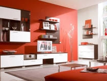 contemporary-living-room-designs