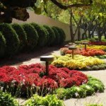 Gardening Landscape Ideas