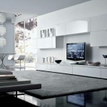Large Modern Living Room Design