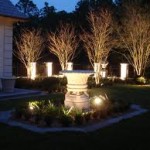 Outdoor LED Lights