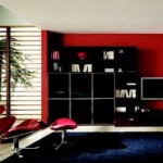 Red and Black Living Room Decor